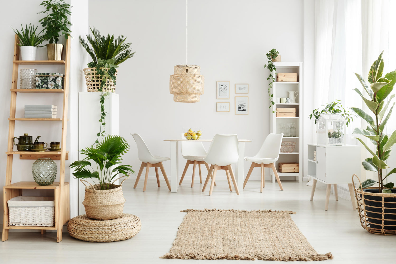 Home Accessories